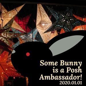 Posh Ambassador Bunny!